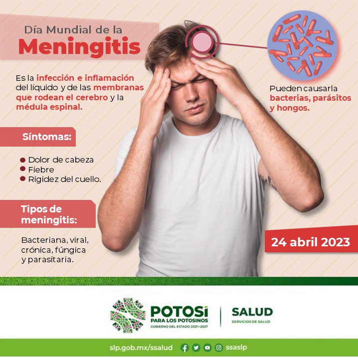 Cada De Mayo Se Conmemora El D A Mundial De La Meningitis Opinion