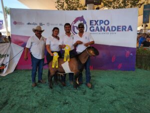 Ganado caprino de la Facultad de Agronomía y Veterinaria de la UASLP triunfa en la Expo Ganadera de la Feria Nacional de San Marcos