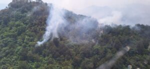 Aeronave y 50 brigadistas combaten incendio forestal en Xilitla 