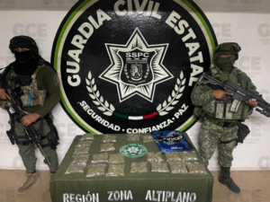 GUARDIA CIVIL ESTATAL Y SEDENA ASEGURAN CASI UN KILO DE MARIHUANA EN CEDRAL