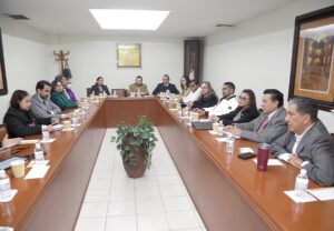 CONTINÚAN LOS TRABAJOS INTERINSTITUCIONALES PARA EL DESARROLLO DE LA ELECCIÓN EXTRAORDINARIA DE PERSONAS JUZGADORAS EN SAN LUIS POTOSÍ