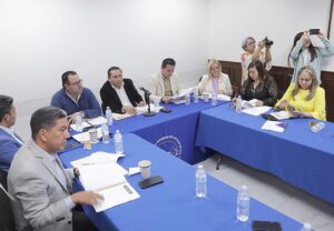 AVANZA REVISIÓN DEL INFORME DE AUDITORÍA A 112 ENTES OBLIGADOS EN REUNIÓN DE LA COMISIÓN DE VIGILANCIA DE LA FUNCIÓN DE FISCALIZACIÓN Y EL IFSE, PARA TENER LISTO EL DICTAMEN A MÁS TARDAR EL 15 DE FEBRERO