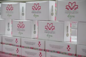 Ayuntamiento de Matlapa anuncia entrega de kits menstruales en Chalchocoyo