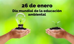 Día Mundial de la Educación Ambiental: Un Llamado al Cuidado del Agua