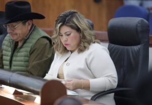 Es urgente que al ayuntamiento de la capital identifique los árboles que se encuentran en riesgo de colapso total o parcial: Dip. Diana Ruelas Gaitán