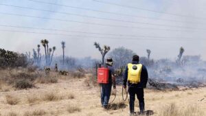 GOBIERNO DEL ESTADO Y LA FEDERACIÓN TRABAJAN EN EL COMBATE DE INCENDIOS FORESTALES