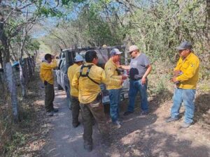 AUTORIDADES DE LOS TRES NIVELES DE GOBIERNO AVANZAN EN EL COMBATE A INCENDIOS FORESTALES