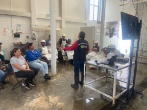 SE VIGILAN DE MANERA PERMANENTE RASTROS MUNICIPALES Y PRIVADOS