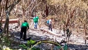 PC Tamazunchale responde con eficacia ante incendios