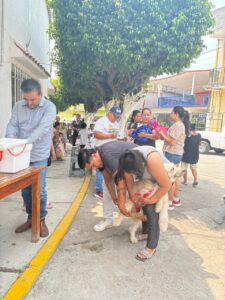 Refuerzan campaña de vacunación antirrábica en Tamazunchale