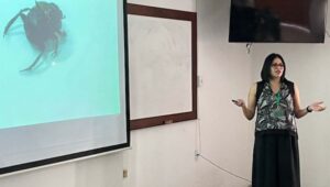 Alertan sobre riesgo ambiental por uso excesivo de antiparasitarios en el ganado
