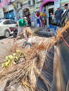 Retiran palmera seca y ramas que ponían en riesgo a conductores en Tamazunchale