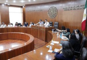 SE REALIZÓ LA SEGUNDA MESA DE TRABAJO CON ORGANIZACIONES CIVILES Y FAMILIARES DE PERSONAS CON ESPECTRO AUTISTA