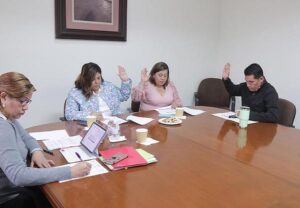 EN COMISIONES SE INICIÓ CON EL ANÁLISIS TÉCNICO Y JURÍDICO SOBRE LA NUEVA LEGISLACIÓN EN MATERIA DE TRANSPARENCIA