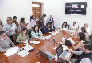 EL ANÁLISIS DE LAS INICIATIVAS DE REFORMA CONSTITUCIONAL PARA EXPEDIR LA LEY DE AMNISTÍA E INDULTO DEL ESTADO DE SAN LUIS POTOSÍ