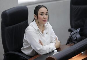BUSCAN GARANTIZAR A LA CIUDADANÍA EL ACCESO A LA CULTURA: DIP. BRISSEIRE SÁNCHEZ LÓPEZ