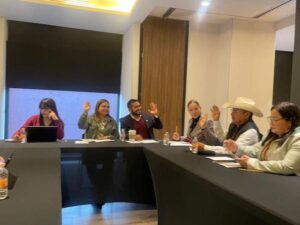 COMISIÓN PRIMERA DE JUSTICIA APROBÓ REFORMAS PARA ADICIONAR Y DEFINIR EL CONCEPTO DE “SPARRING” COMO UNA FORMA DE MALTRATO ANIMAL, Y PARA IDENTIFICAR COMO DELITO LAS PELEAS DE PERROS: DIP. MARÍA LETICIA VÁZQUEZ HERNÁNDEZ