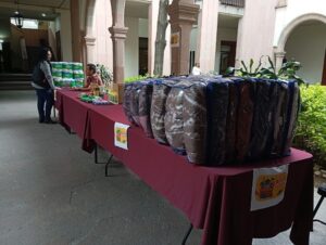 HABILITA EL CONGRESO DEL ESTADO CENTROS DE ACOPIO PARA APOYAR A LOS DAMNIFICADOS EN LA ZONA HUASTECA Y PARTE DE LA ZONA MEDIA POR LAS INTENSAS LLUVIAS: DIP. CUAUHTLI BADILLO MORENO