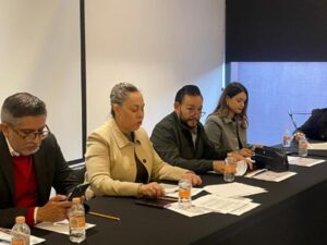 COMISIÓN DE TRABAJO Y PREVISIÓN SOCIAL APROBÓ EXHORTO PARA QUE SE CUMPLA EN TODOS SUS TÉRMINOS LA “LEY SILLA”: DIP. SARA ROCHA MEDINA