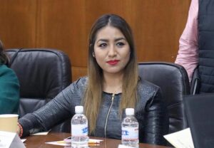 PROPONEN TIPIFICAR EL DELITO DE ACECHO, Y SE CONTEMPLE COMO UN ÁMBITO DE VIOLENCIA A LA MUJER