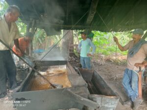 Ayuntamiento de Tamazunchale impulsa producción de piloncillo en Vega Cuixcuatitla