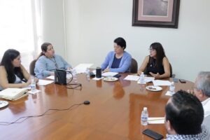 APRUEBAN EN COMISIÓN CONVOCATORIA PARA REALIZAR EL PARLAMENTO DE LAS Y LOS JÓVENES DEL ESTADO DE SAN LUIS POTOSÍ: DIP. MIREYA VANCINI VILLANUEVA