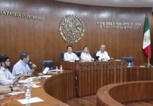 COMISIONES UNIDAS APRUEBAN REFORMAS PARA GARANTIZAR LA PROMOCIÓN Y RESPETO A LA LACTANCIA MATERNA: DIP. MIREYA VANCINI VILLANUEVA
