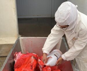 COEPRIS REFUERZA VIGILANCIA SANITARIA CONTRA EL USO DE CLENBUTEROL EN LA CARNE