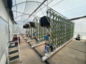 Facultad de Agronomía y Veterinaria de la UASLP desarrolla sistema de agricultura vertical con tecnología de vanguardia