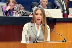 Ruth González Silva propone castigar la suplantación de identidad como delito federal