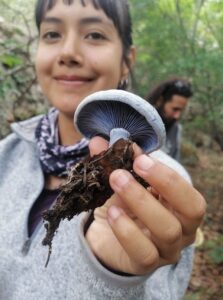 LA SECULT INVITA AL FESTIVAL NACIONAL DEL HONGO “ENTRE MICELIOS Y SABERES: CIENCIA, ARTE Y COMUNIDAD”