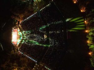 FIN DE SEMANA LLENO DE VIDA EN LOS PARQUES TANGAMANGA Y LAS CAMELIAS