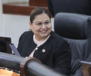 BUSCAN CONSOLIDAR UN MODELO INTEGRAL DE SEGURIDAD CIUDADANA, BASADO EN LA PREVENCIÓN, LA PROFESIONALIZACIÓN Y LA INTELIGENCIA ESTRATÉGICA