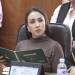PROPONEN MODIFICAR LA LEY DE FOMENTO PARA LA LECTURA Y EL LIBRO DEL ESTADO Y MUNICIPIOS DE SAN LUIS POTOSÍ