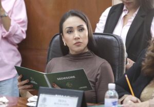 PROPONEN MODIFICAR LA LEY DE FOMENTO PARA LA LECTURA Y EL LIBRO DEL ESTADO Y MUNICIPIOS DE SAN LUIS POTOSÍ