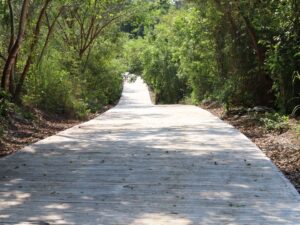 Entrega Marichuy Rivera acceso pavimentado al panteón de Papatlas