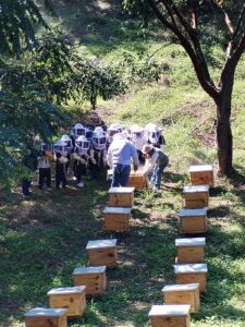 Tamazunchale impulsa apiturismo con primera visita guiada