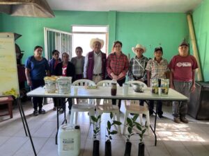 Proyecto de investigadora de la UASLP impulsa nuevas oportunidades para productores de la Huasteca Sur