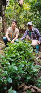 Gobierno de Tamazunchale acompaña a cafeticultores y fortalece el desarrollo del campo