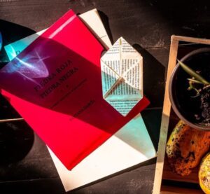 INVITAN A TALLER DE POESÍA EXPANDIDA EN EL IPBA