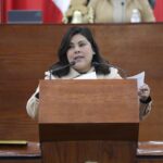 Presenta Dip. Diana Ruelas Gaitán iniciativa para que las personas adultas mayores accedan a las nuevas tecnologías