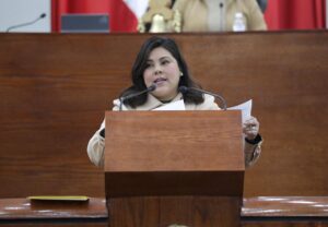 Presenta Dip. Diana Ruelas Gaitán iniciativa para que las personas adultas mayores accedan a las nuevas tecnologías