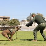 LOMITOS DE LA GUARDIA CIVIL ESTATAL TAMBIÉN TRABAJAN POR LA SEGURIDAD DE SLP