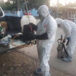 ESTADO REFUERZA PREVENCIÓN CONTRA GUSANO BARRENADOR