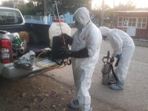 ESTADO REFUERZA PREVENCIÓN CONTRA GUSANO BARRENADOR