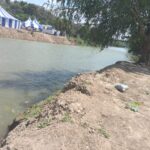 Gobierno, comerciantes y empresa privada se suman para reforestar el río Moctezuma