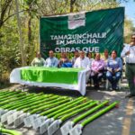 Gobierno Municipal instala luminarias en acceso al ITST y Hospital Integral