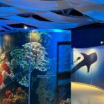 “TIBURONES” TRANSFORMA EL MUSEO LABERINTO EN UNA AVENTURA SUBMARINA