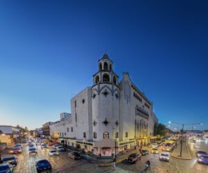 DEL SUSPENSO AL CINE SOCIAL: ASÍ SE VIVE LA NUEVA SEMANA DE CINE EN LA CINETECA ALAMEDA