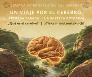 IPICYT llevará la Semana Internacional del Cerebro 2026 a escuelas de la Huasteca Potosina